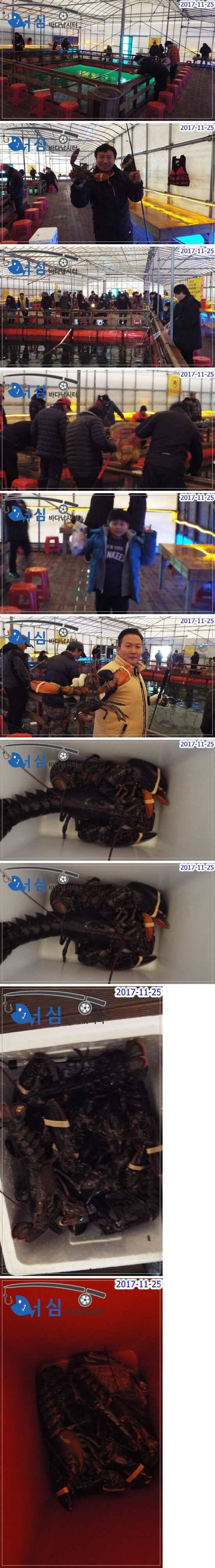 11월25일어심바다낚시터조황노지및하우스 (유료터정보 - 유료터점주조황)