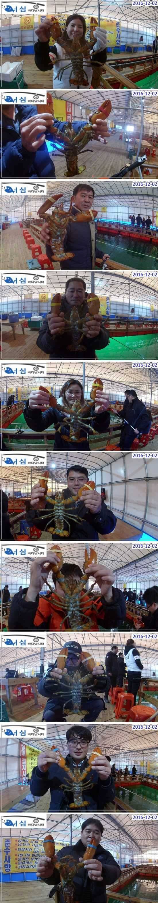 12월 2일 어심바다낚시터 랍스타 조황 (유료터정보 - 유료터점주조황)