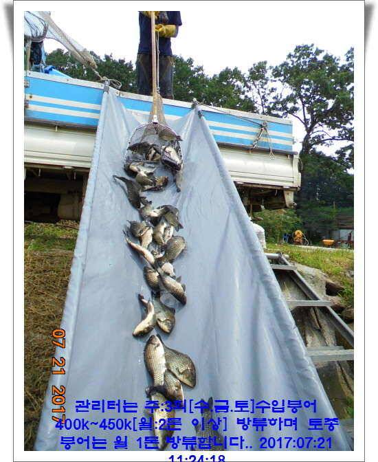 도심속의 작은 쉼터 화성 관리 낚시터입니다 (유료터정보 - 유료터점주조황)