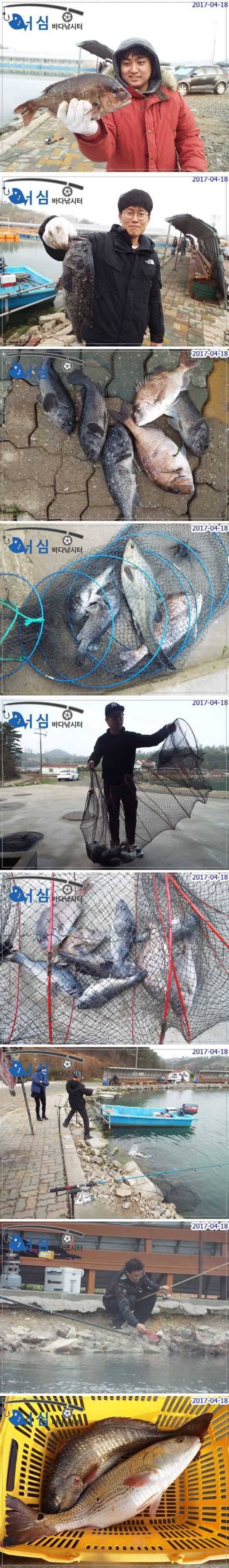 4월18일어심바다낚시터조황 (유료터정보 - 유료터점주조황)