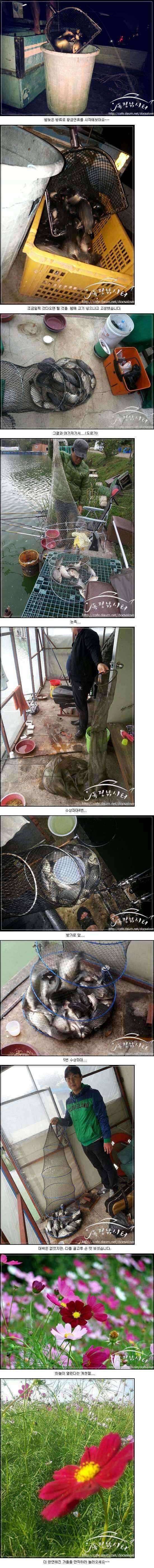 독정낚시터 없다 (유료터정보 - 유료터점주조황)