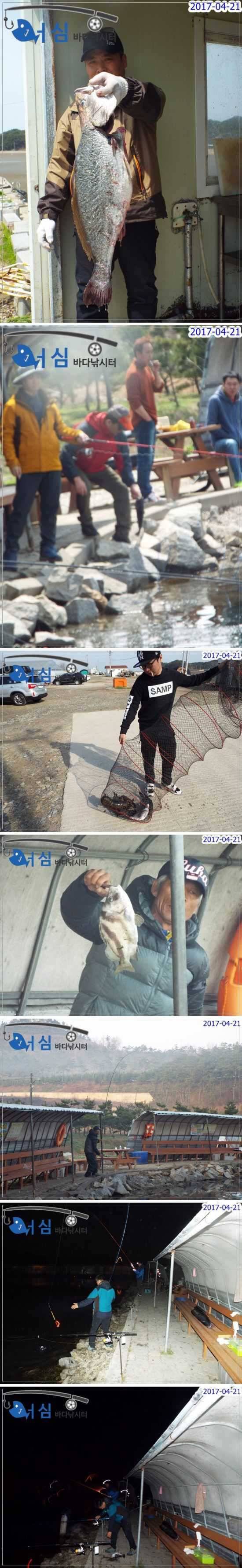 대왕랍스타4월21일어심바다낚시터조황 (유료터정보 - 유료터점주조황)