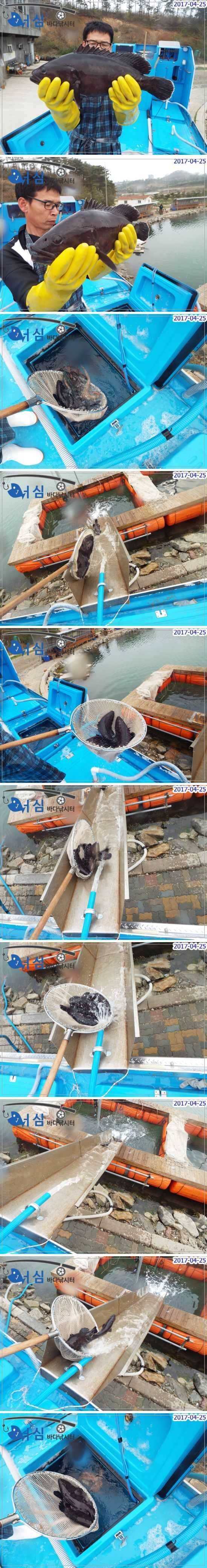 능성어돗돔4월25일어심바다낚시터조황 (유료터정보 - 유료터점주조황)