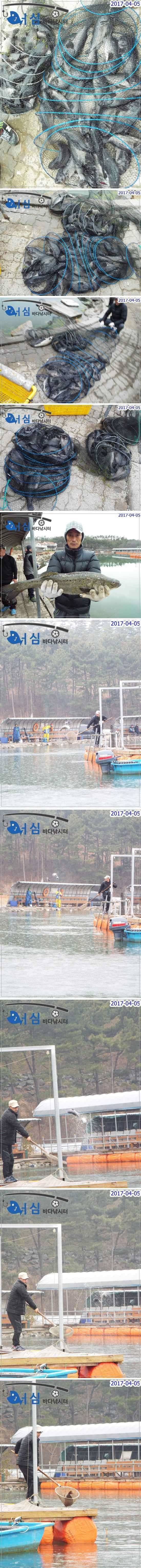 감성돔4월5일 어심바다낚시터조황 (유료터정보 - 유료터점주조황)