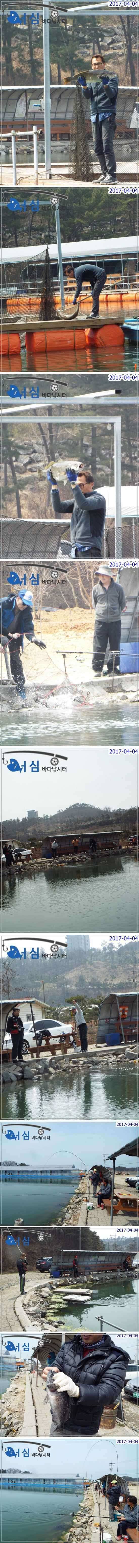 화려한자태4월4일 어심바다낚시터조황 (유료터정보 - 유료터점주조황)