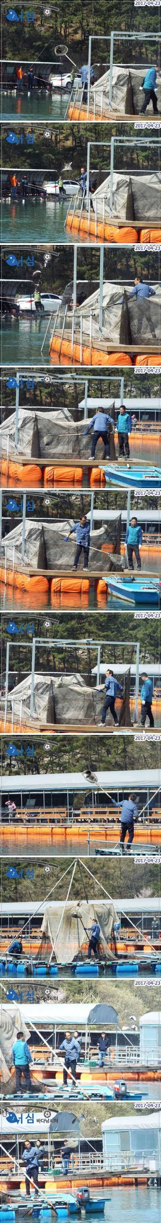 바쁜하루4월23일어심바다낚시터조황 (유료터정보 - 유료터점주조황)