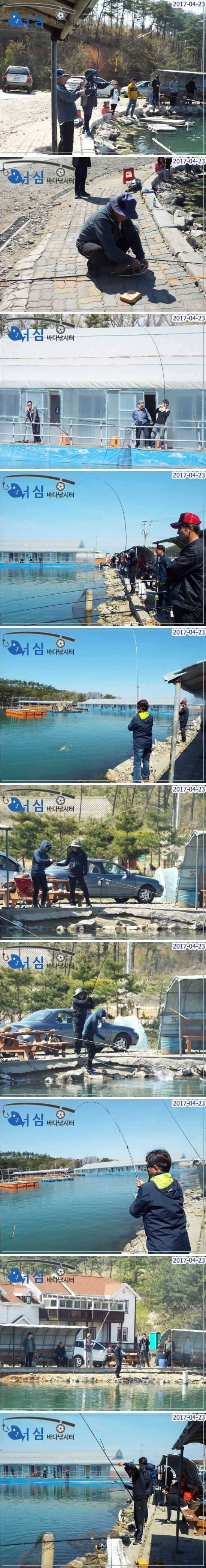 바쁜하루4월23일어심바다낚시터조황 (유료터정보 - 유료터점주조황)