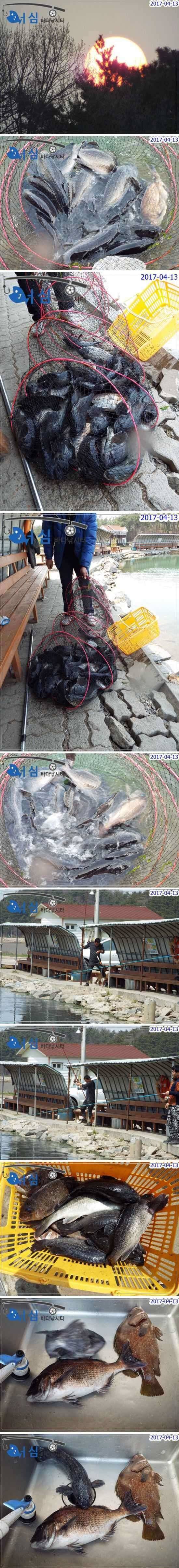 대박조황4월13일어심바다낚시터조황 (유료터정보 - 유료터점주조황)