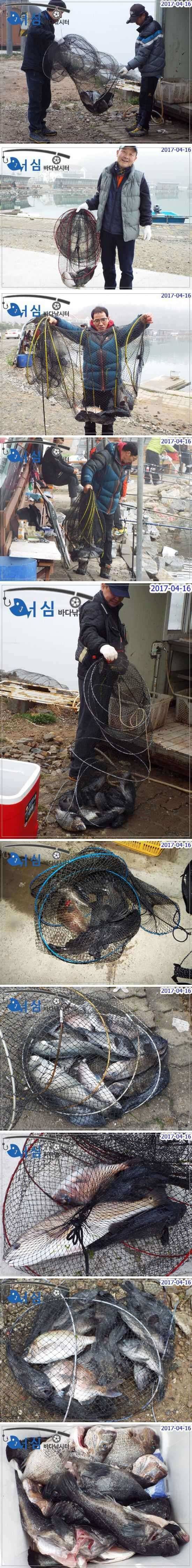 손맛즐긴하루4월16일어심바다낚시터조황 (유료터정보 - 유료터점주조황)