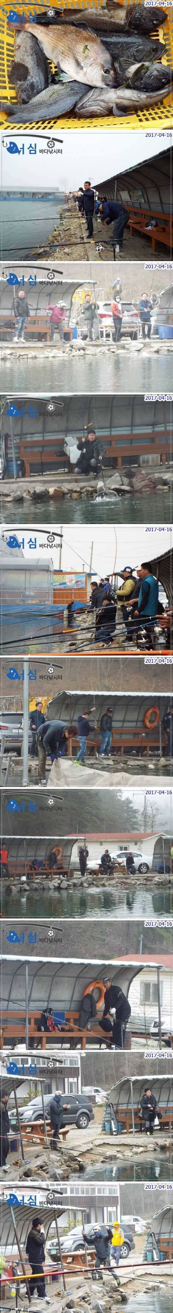 손맛즐긴하루4월16일어심바다낚시터조황 (유료터정보 - 유료터점주조황)