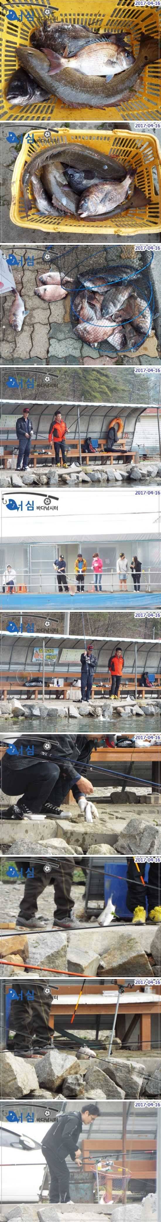 손맛즐긴하루4월16일어심바다낚시터조황 (유료터정보 - 유료터점주조황)