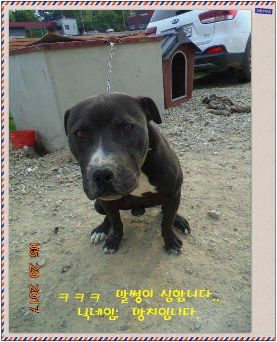 도심속의 작은 쉼터 화성 관리 낚시터입니다 (유료터정보 - 유료터점주조황)