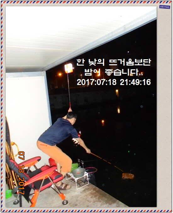도심속의 작은 쉼터 화성 관리 낚시터입니다 (유료터정보 - 유료터점주조황)