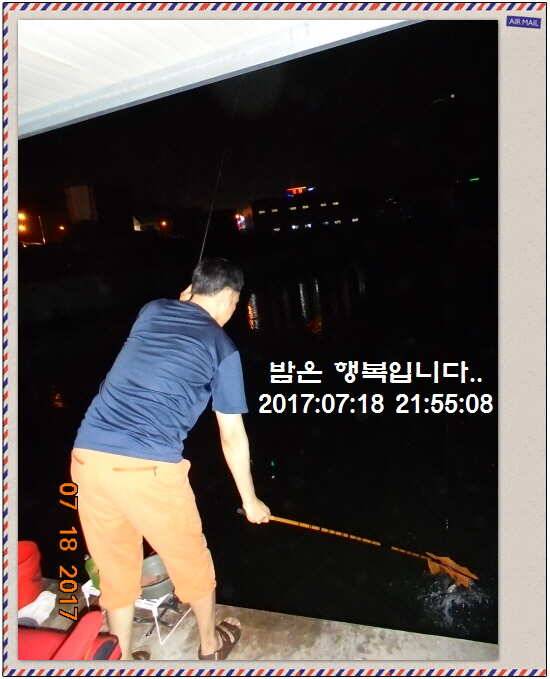 도심속의 작은 쉼터 화성 관리 낚시터입니다 (유료터정보 - 유료터점주조황)