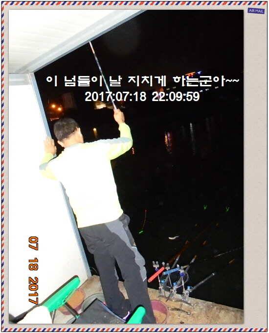 도심속의 작은 쉼터 화성 관리 낚시터입니다 (유료터정보 - 유료터점주조황)