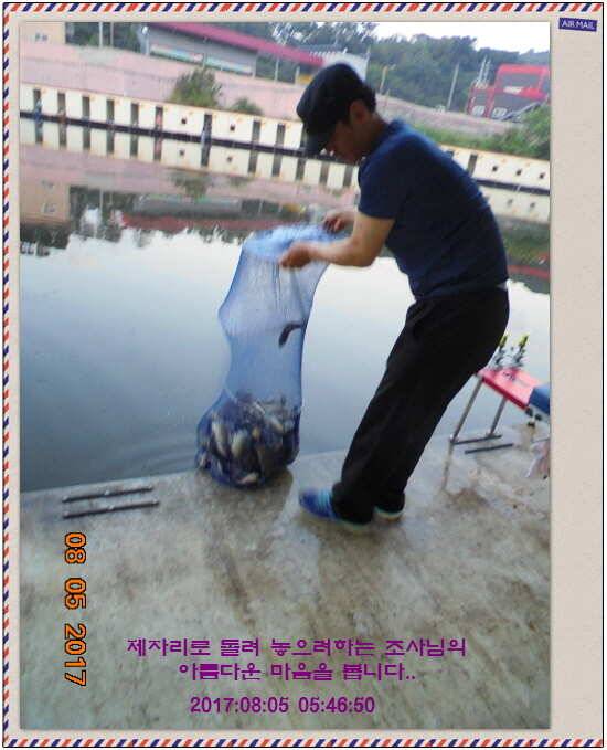 도심속의 작은 쉼터 화성 관리 낚시터입니다관리의 밤은 (유료터정보 - 유료터점주조황)