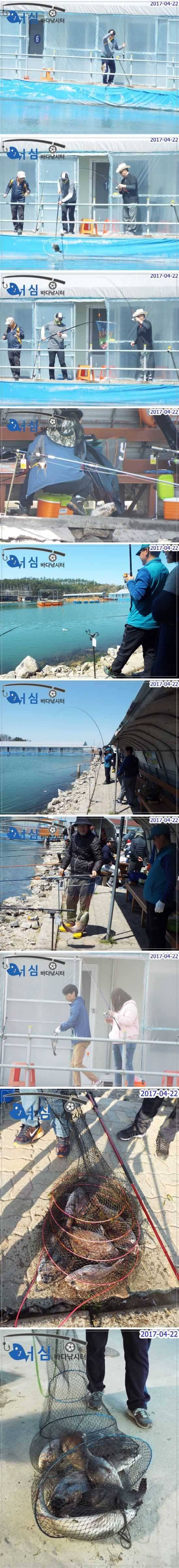 화창한주말4월22일어심바다낚시터조황 (유료터정보 - 유료터점주조황)