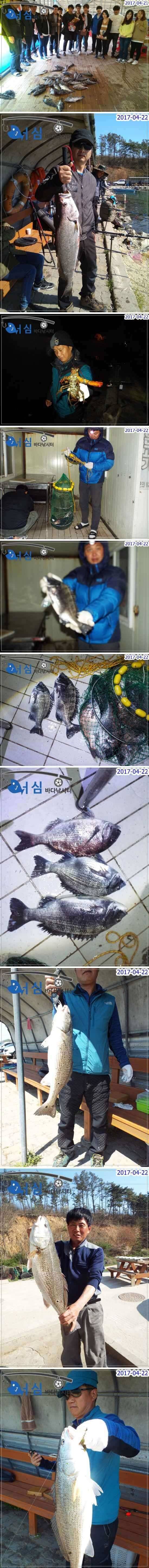 화창한주말4월22일어심바다낚시터조황 (유료터정보 - 유료터점주조황)