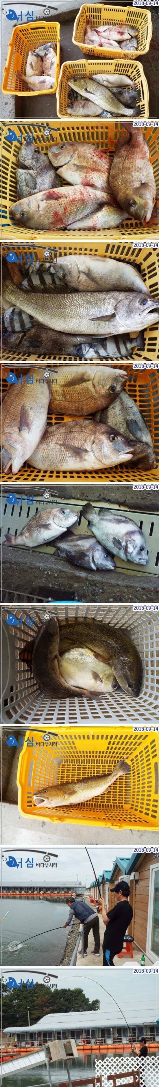 fish_pay_166c1_124848_35254.jpg