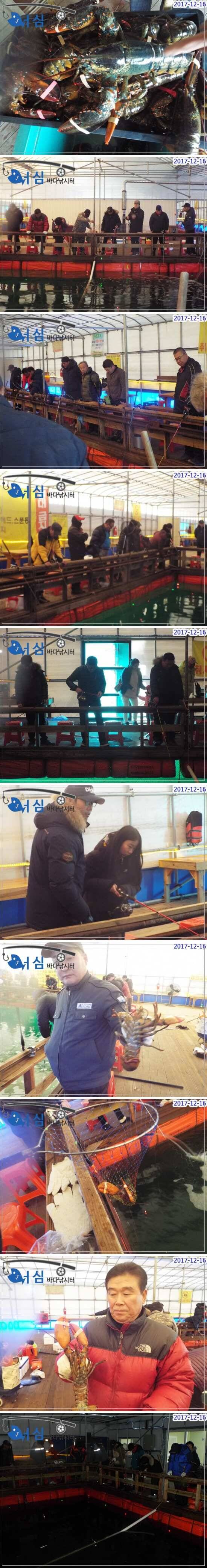 12월16일 어심바다낚시터조황 (유료터정보 - 유료터점주조황)