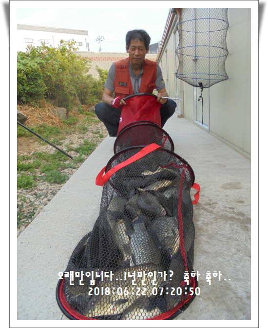 도심속의 작은 쉼터 화성 관리낚시터입니다조황 사진 올립니다 (유료터정보 - 유료터점주조황)