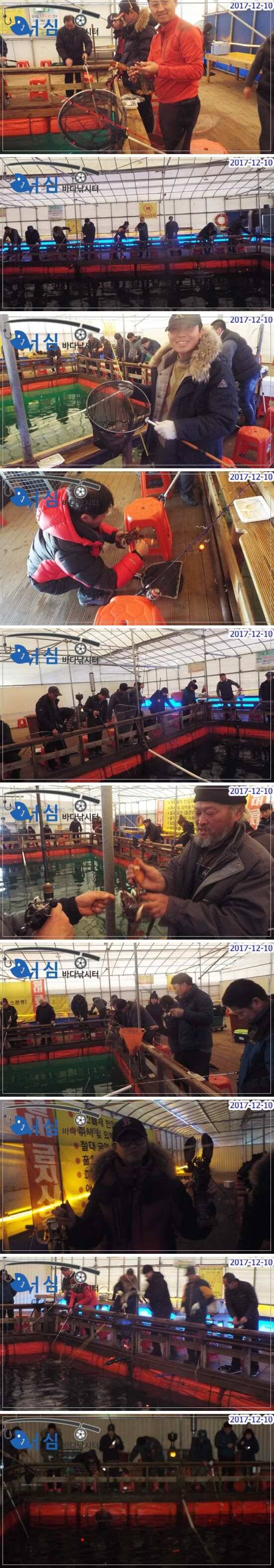 12월10일어심바다낚시터조황 (유료터정보 - 유료터점주조황)