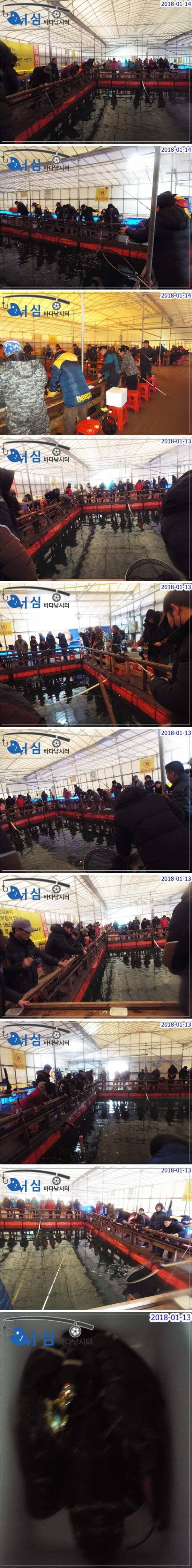 1월14일 어심바다낚시터조황 (유료터정보 - 유료터점주조황)