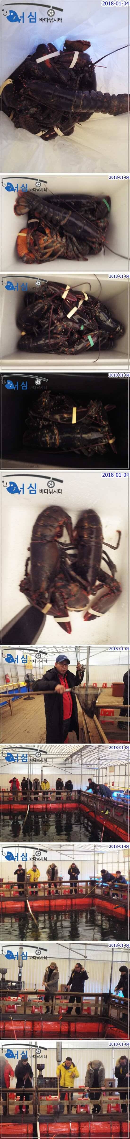 1월04일어심바다낚시터조황 (유료터정보 - 유료터점주조황)