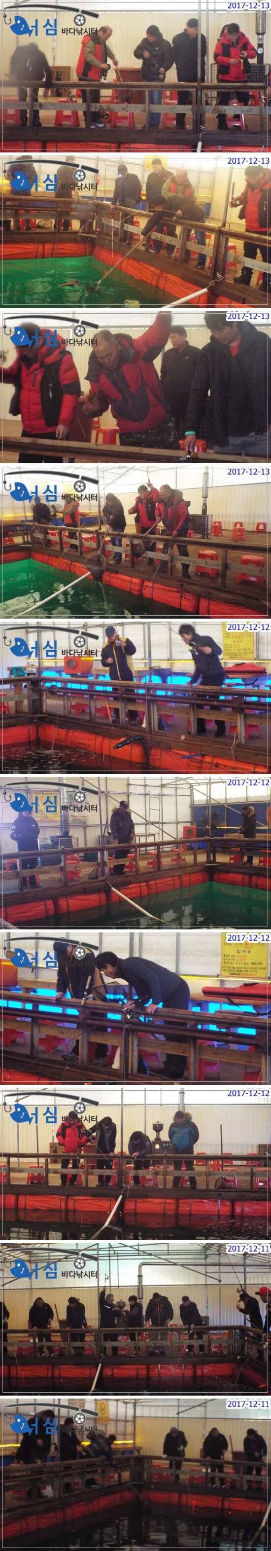 12월13일어심바다낚시터조황 (유료터정보 - 유료터점주조황)