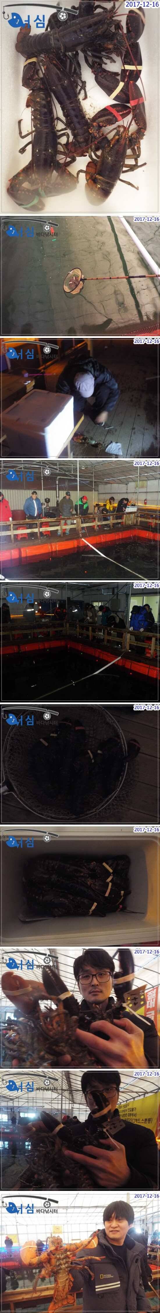 12월16일 어심바다낚시터조황 (유료터정보 - 유료터점주조황)