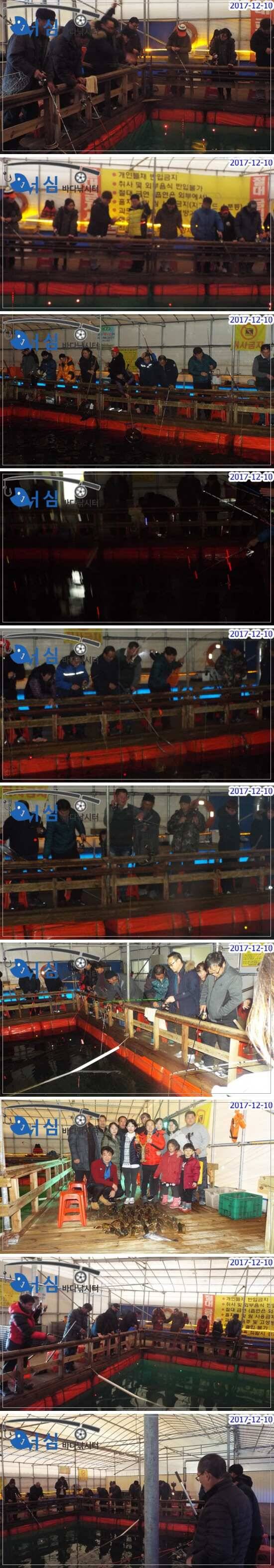 12월10일어심바다낚시터조황 (유료터정보 - 유료터점주조황)