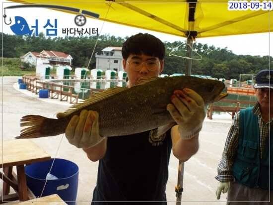 fish_pay_94c19_124844_23145.jpg