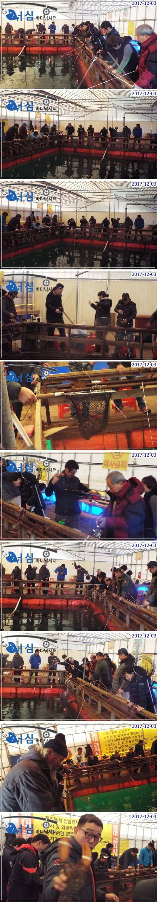 12월3일어심바다낚시터조황노지하우스 (유료터정보 - 유료터점주조황)