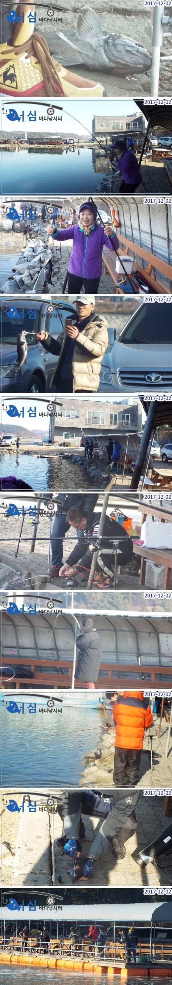 12월2일 어심바다낚시터조황노지하우스 (유료터정보 - 유료터점주조황)