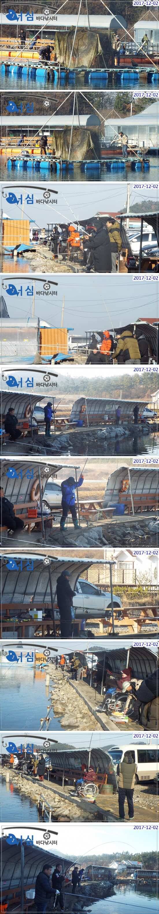 12월2일 어심바다낚시터조황노지하우스 (유료터정보 - 유료터점주조황)