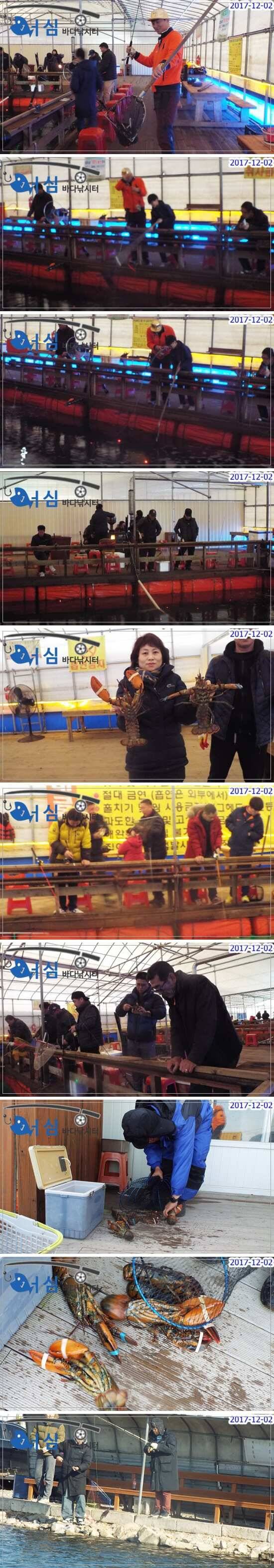 12월2일 어심바다낚시터조황노지하우스 (유료터정보 - 유료터점주조황)