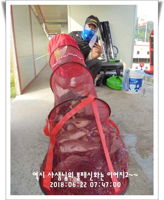 도심속의 작은 쉼터 화성 관리낚시터입니다조황 사진 올립니다 (유료터정보 - 유료터점주조황)