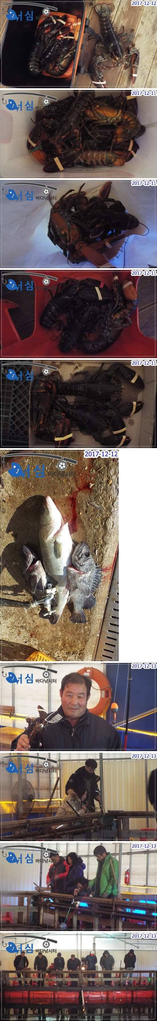 12월13일어심바다낚시터조황 (유료터정보 - 유료터점주조황)
