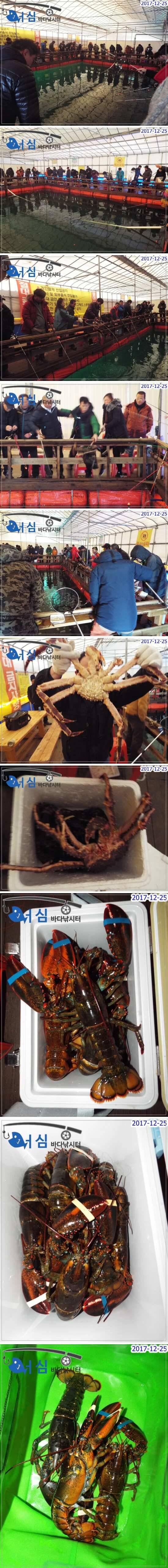 12월25일어심바다낚시터조황하우스 (유료터정보 - 유료터점주조황)