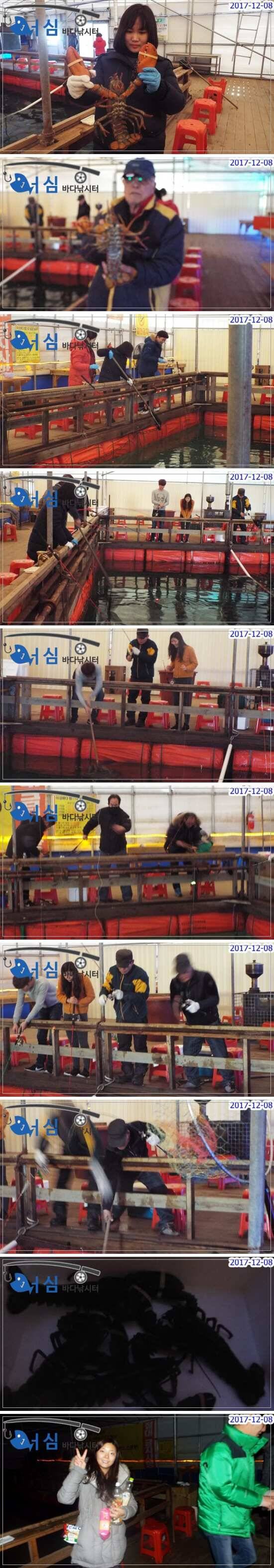 12월08일어심바다낚시터조황노지하우스 (유료터정보 - 유료터점주조황)