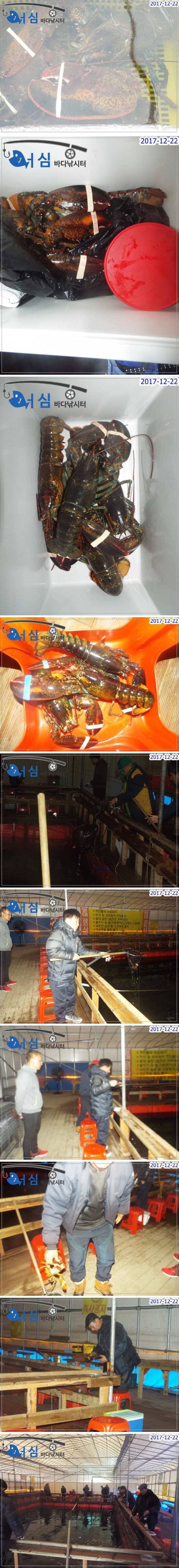 12월22일어심바다낚시터조황 (유료터정보 - 유료터점주조황)