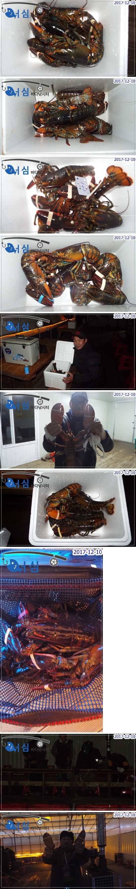 12월10일어심바다낚시터조황 (유료터정보 - 유료터점주조황)