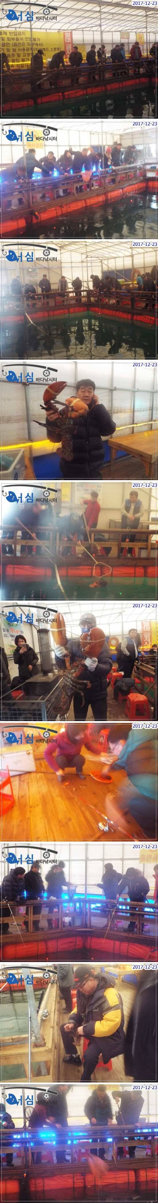 12월23일 어심바다낚시터조황 (유료터정보 - 유료터점주조황)