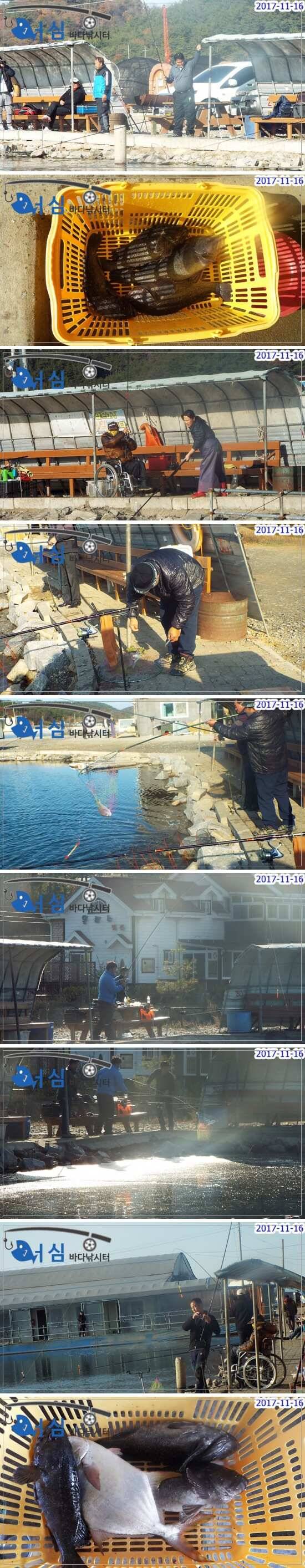개장이틀전11월16일어심바다낚시터조황 (유료터정보 - 유료터점주조황)