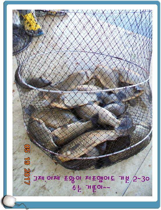 도심속의 작은 쉼터 화성 관리 낚시터입니다 (유료터정보 - 유료터점주조황)