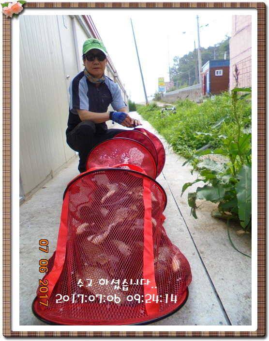도심속의 작은 쉼터 화성 관리 낚시터입니다성원에 감사드립니다 (유료터정보 - 유료터점주조황)