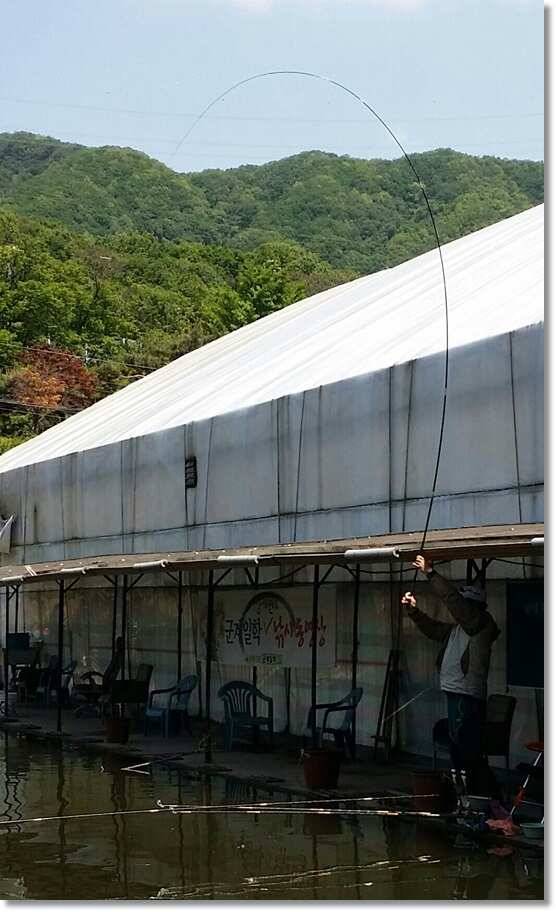 택암낚시터 5월20일 조황정보 (유료터정보 - 유료터점주조황)