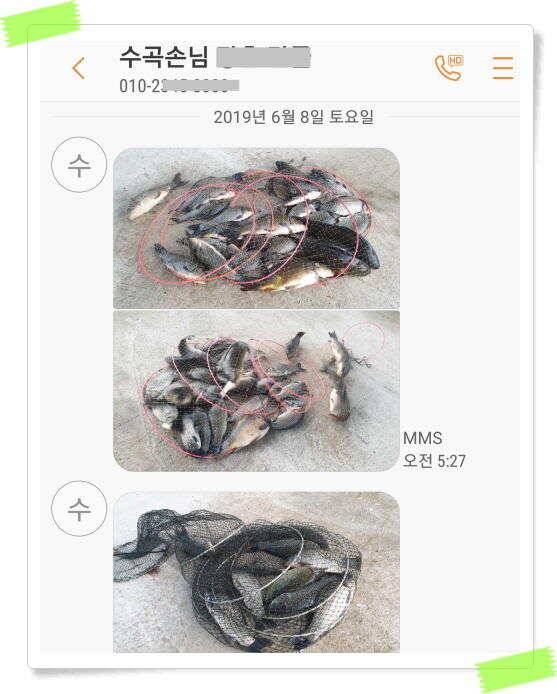양평낚시터 붕어낚시 수곡낚시터 붕어 조황 꾸준히 잘 나와줍니다 오늘도 붕어 추가방류 합니다 (유료터정보 - 유료터점주조황)