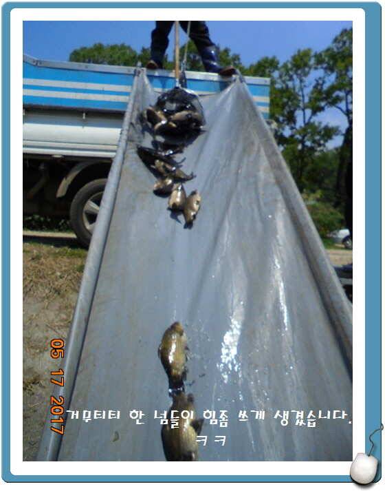 도심속의 작은 쉼터 화성 관리 낚시터입니다 (유료터정보 - 유료터점주조황)