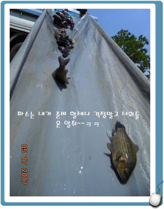 도심속의 작은 쉼터 화성 관리 낚시터입니다 (유료터정보 - 유료터점주조황)